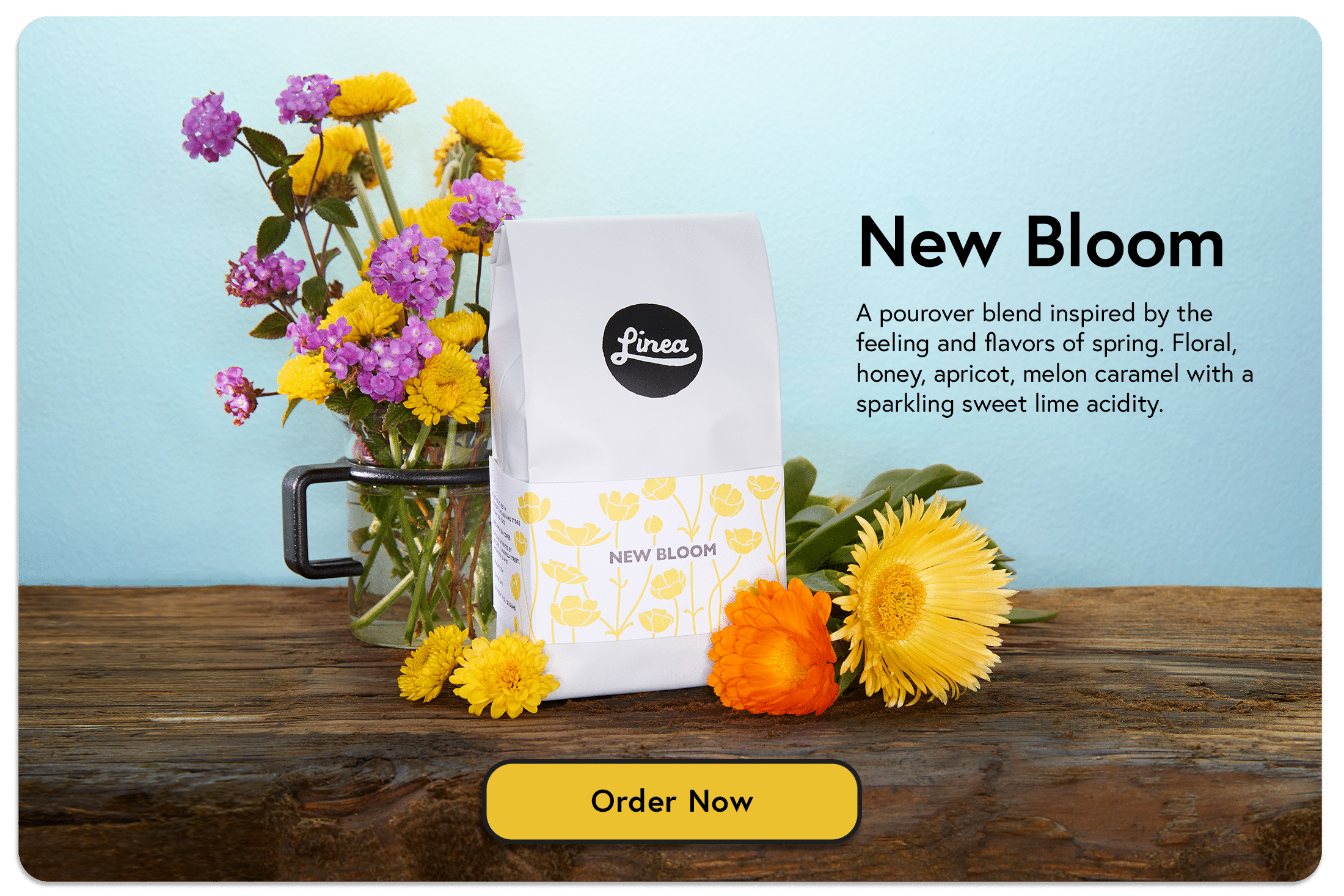 http://lineacaffe.com/wp-content/uploads/2021/05/New-Bloom-Ad.png